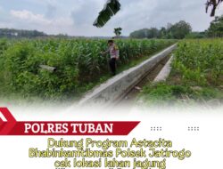 Polri dukung progam Astacita, Polsek Jatirogo Polres Tuban Turun Cek Tanaman jagung Warga di Desa Kebonharjo
