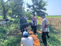 Polri Dukung Astacita, Polsek Rengel Polres Tuban Turun Cek Tanaman Jagung Warga di Desa Maibit