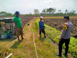 Bhabinkamtimas Polsek Senori Polres Tuban Menanam Jagung Bersama Warga Desa Wanglukulon Dukung Program Ketahanan Pangan