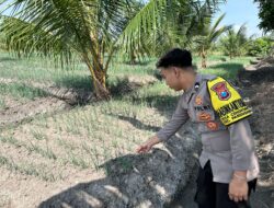 Dalam rangka mendukung Program ASTACITA guna perkuat ketahanan pangan, Bhabinkamtibmas Desa Cengkong Polsek Parengan Polres Tuban cek lokasi tanaman bawang merah milik warga di Desa Cengkong Kec. Parengan