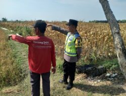Polri Dukung Astacita, Polsek Rengel Polres Tuban Turun Cek Tanaman Padi Warga di Desa Pekuwon
