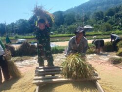 Cuaca Tak Bersahabat, Pendampingan Babinsa Jadi Penyemangat Petani