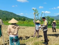 Polsek Gerung Pantau Produktivitas Lahan Pertanian di Babussalam