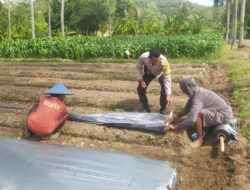 Cara Bhabinkamtibmas Sekotong Jaga Ketahanan Pangan Warga