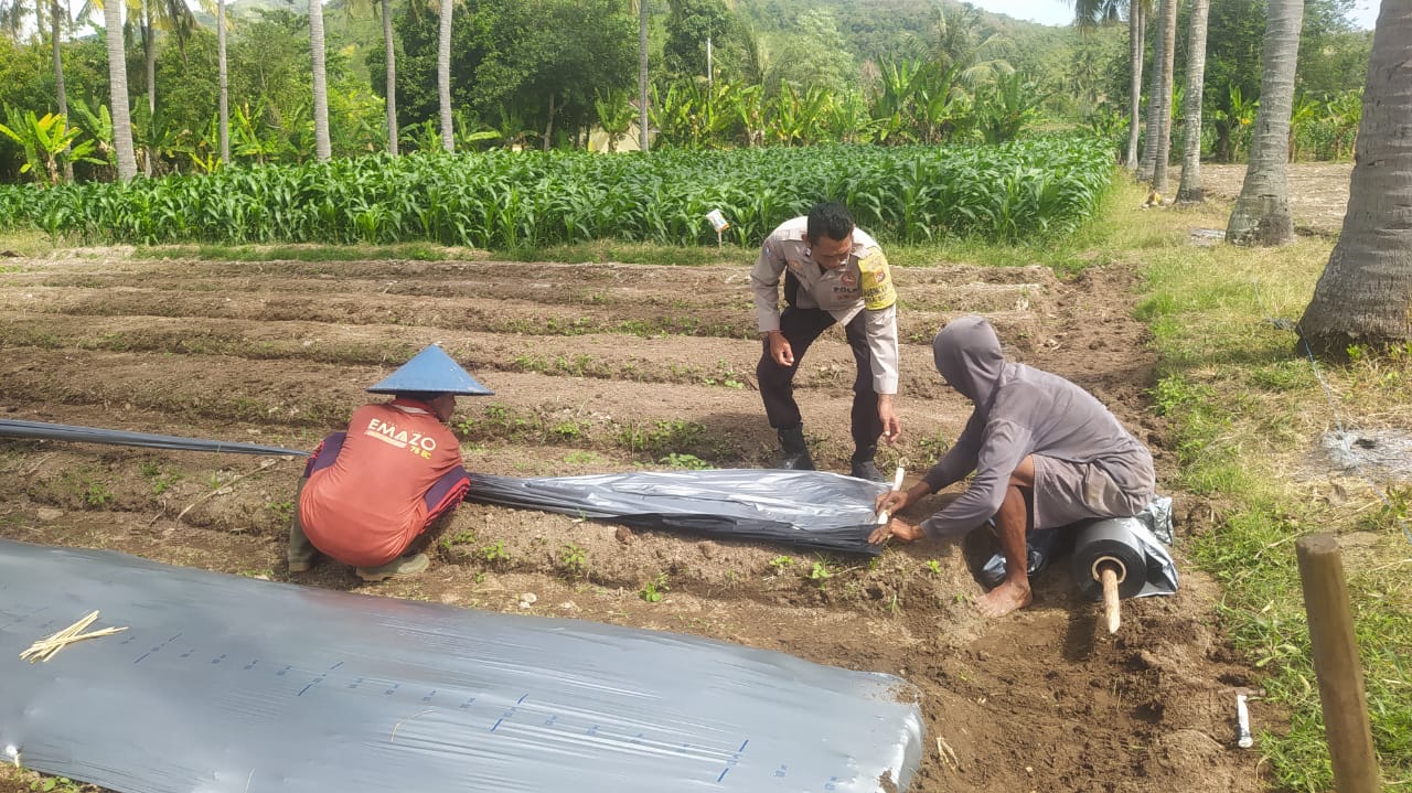 Polri Turun Tangan Dorong Ketahanan Pangan di Sekotong