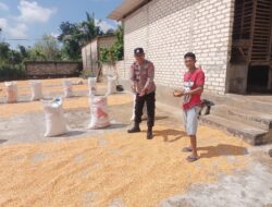Polri Dukung Astacita, Polsek Semanding Polres Tuban Turun Cek Tanaman jagung milik Warga di Desa Prunggahan kulon