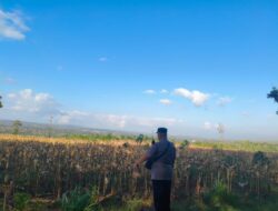 Polri Dukung Astacita, Bhabinkamtibmas Desa Ngawun Polsek Parengan Polres Tuban Cek Lokasi Tanaman Jagung milik petani Di Desa Ngawun Kec. Parengan