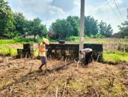 Polsek Jatirogo Polres Tuban tanam bibit jagung bersama Petani di lahan produktif milik warga Desa Sugihan