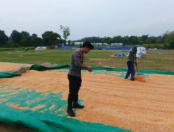 Dukung Ketahanan Pangan, Polsek Bancar Monitoring Proses Pasca-Panen Jagung di Desa Tergambang
