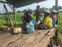 Bhabinkamtibmas Polsek Tuban Sambang Petani, Perkuat Sinergi dan Dukung Ketahanan Pangan