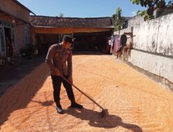 Polsek Montong Polres Tuban Turun Cek Tanaman jagung Warga di Desa Bringin