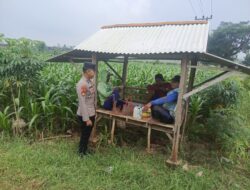 Polsek Tambakboyo Polres Tuban Turun Cek Tanaman jagung Warga di Desa Mander