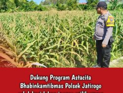 Dukung Astacita, Polsek Jatirogo Polres Tuban Pantau Langsung Lahan Jagung Warga Desa Demit