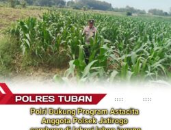 Turun ke Pematang, Polsek Jatirogo Kawal Jagung Warga Desa Ketodan Demi Astacita