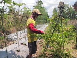 Bhabinkamtibmas Labuapi Ajak Warga Manfaatkan Lahan Pekarangan