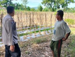 Dukung Ketahanan Pangan, Polsek Labuapi Edukasi Warga Desa