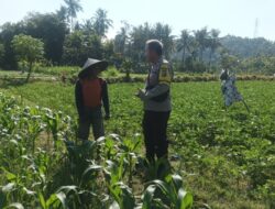 Bhabinkamtibmas Sandik Ajak Warga Sulap Lahan Kosong Jadi Produktif