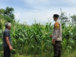 Bhabinkamtibmas Labuapi Ajak Warga Tanam Jagung di Pekarangan