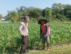 Bhabinkamtibmas Lombok Barat Edukasi Warga Manfaatkan Lahan Kosong