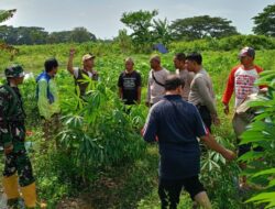 Sinergi Polsek Batulayar dan Warga Perkuat Pangan Desa