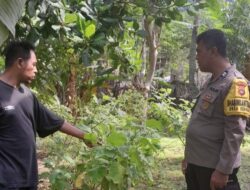 Polsek Batulayar Dorong Ketahanan Pangan di Desa Senggigi