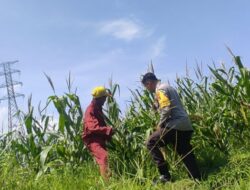 Bhabinkamtibmas Labuapi Ajak Warga Manfaatkan Lahan Jagung