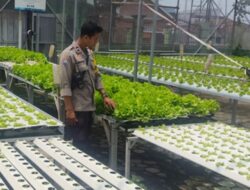 Kemandirian Pangan Warga Bengkel Lombok Barat Dipuji