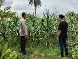 Aksi Bhabinkamtibmas Labuapi Manfaatkan Lahan Pekarangan untuk Pangan Bergizi