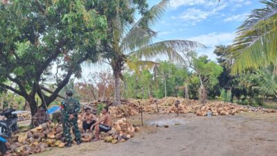 Babinsa Rempek Perkuat Kemitraan Bersama Pengepul Kelapa Lombok Utara