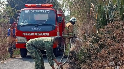 Babinsa Taman Sari Sigap Tangani Kebakaran Lahan Kebun