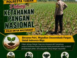 Wujudkan Swasembada Pangan, Polsek Jatirogo sambang lokasi lahan Jagung di Desa Bader