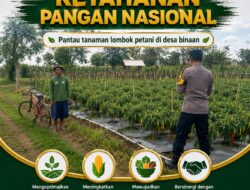 POLSEK KEREK SAMBANG DAN DIALOGIS DENGAN PETANI LOMBOK DI DESA BINAAN