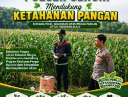Anggota Bhabinkamtibmas Polsek Senori Polresta Tuban Membantu Proses Pemupukan Jagung Warga Desa Jatisari