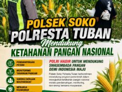 Polsek Soko Polresta Tuban Turun Langsung Cek Tanaman Jagung Warga