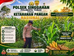Anggota Polsek Singgahan Polresta Tuban Turun Cek Tanaman jagung Warga di Desa Lajo lor