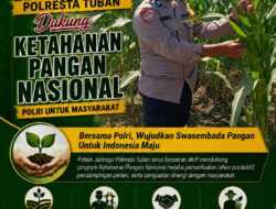 Dukung Asta Cita, Polsek Jatirogo Turun Langsung Pantau Ladang Jagung Warga Desa Paseyan