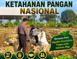 Polri Dukung Astacita, Polsek Semanding Polresta Tuban Turun Cek Tanaman jagung milik Warga di Desa Semanding