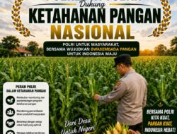 POLRI MENDUKUNG PROGRAM ASTACITA PRESIDEN RI, BHABINKAMTIBMAS DESA SUCIHARJO POLSEK PARENGAN POLRESTA TUBAN SAMBANGI TANAMAN JAGUNG DI DESA SUCIHARJO KEC. PARENGAN