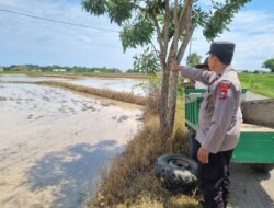 Dukung Ketahanan Pangan, Personel Polsek Bancar Monitoring Lahan Jagung Milik Warga Desa Bulujowo