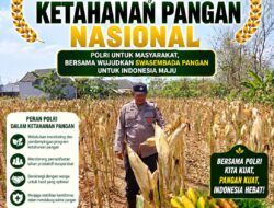 Polri Dukung Astacita, Polsek Semanding Polresta Tuban Turun Cek Tanaman jagung milik Warga di Desa Bektiharjo