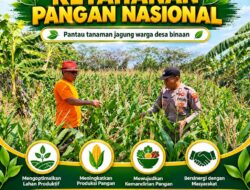 “ANGGOTA POLMAS PANTAU PERKEMBANGAN TANAMAN JAGUNG PETANI DI DESA BINAAN”