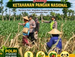 Polri Dukung Astacita, Polsek jenu Polres Tuban Turun Cek Tanaman Jagung Warga di Desa Jenu