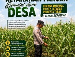 Wujudkan Swasembada Pangan, Polsek Jatirogo sambang lokasi lahan Jagung di Desa Jatiklabang