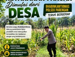 DALAM RANGKA MENDUKUNG PROGRAM KETAHANAN PANGAN, ANGGOTA POLSEK PARENGAN POLRESTA TUBAN SAMBANG TANAMAN JAGUNG DI DESA SELOGABUS KEC. PARENGAN