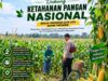 Polsek Soko Polresta Tuban Turun Langsung Cek Tanaman Jagung Warga