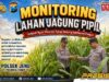 Polri Dukung Astacita, Polsek jenu Polres Tuban Turun Cek Tanaman Jagung Warga di Desa mentoso