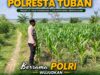 Polsek Bangilan Dukung Ketahanan Pangan, Pantau Perkembangan Tanaman Jagung