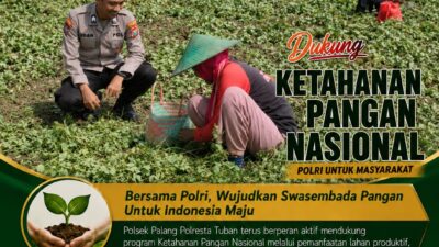 Dukung Astacita, Polsek Palang Polresta Tuban Pantau Langsung Lahan Jagung milik warga Desa Ketambul