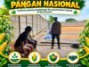 “POLSEK KEREK SAMBANG GUDANG PENAMPUNGAN JAGUNG, DUKUNG KETAHAN PANGAN NASIONAL”
