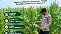 Polsek Soko Polresta Tuban Turun Langsung Cek Tanaman Jagung Warga